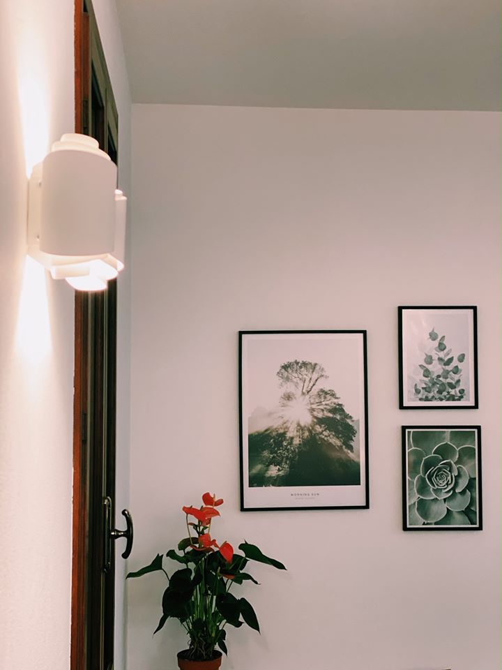 82336766_2260828014217807_4245291206038257664_o