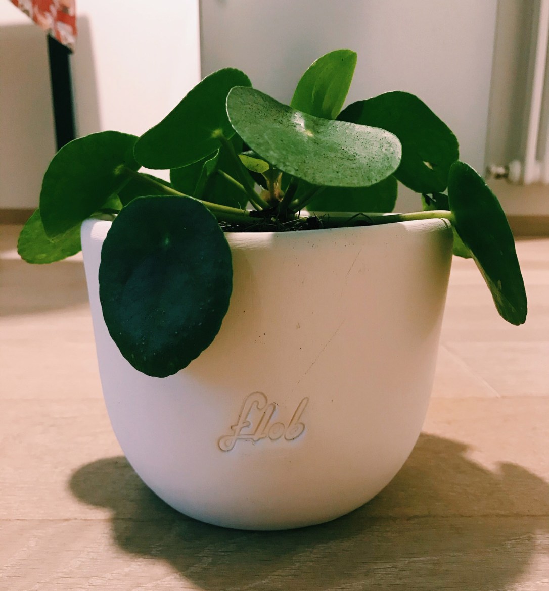 Processed with VSCO with c1 preset