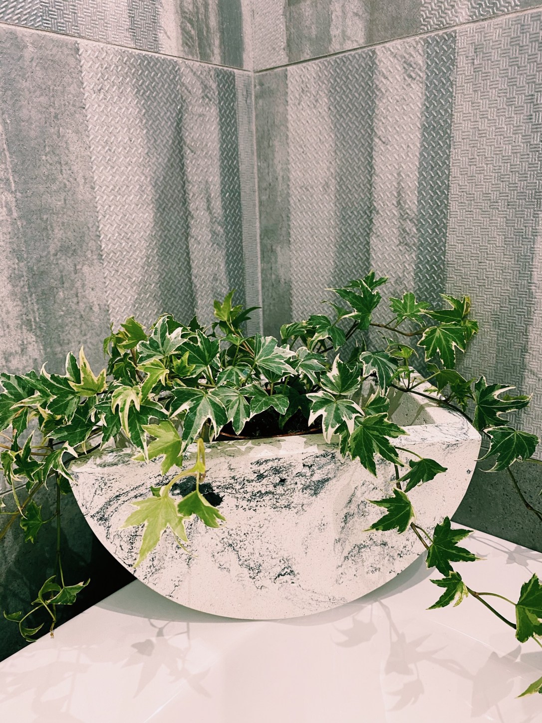 Vaso Biancospino di Concreto Home